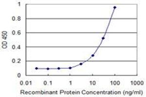 Detection limit for recombinant GST tagged FOXM1 is 1 ng/ml as a capture antibody. (FOXM1 Antikörper  (AA 22-110))