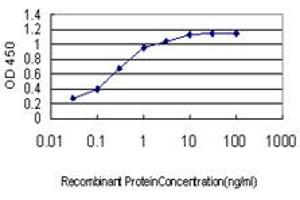 anti-Caudal Type Homeobox 4 (CDX4) (AA 71-170) antibody