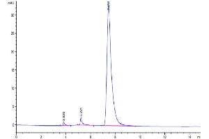 Size-exclusion chromatography-High Pressure Liquid Chromatography (SEC-HPLC) image for Tumor Necrosis Factor Receptor Superfamily, Member 11a, NFKB Activator (TNFRSF11A) (AA 30-212) protein (Fc Tag) (ABIN7275521)