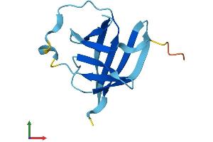 AlphaFold protein structure predicition of Mouse Recombinant Mtcp1 Protein, UniprotID Q60945