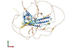 AlphaFold protein structure predicition of Mouse Recombinant Micall1 Protein, UniprotID Q8BGT6