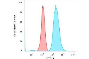 Flow Cytometric Analysis of PFA-fixed K562 cells using Fascin-1 Mouse Monoclonal Antibody (FSCN1/418) followed by Goat anti-Mouse IgG-CF488 (Blue); Isotype Control (Red) (Fascin Antikörper)