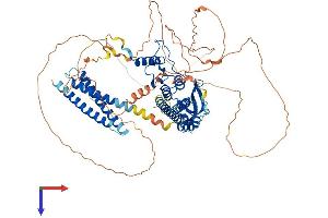CNOT3 Protein (AA 1-753) (His tag)