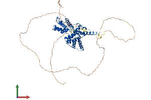AlphaFold protein structure predicition of Human Recombinant CCNL1 Protein, UniprotID Q9UK58