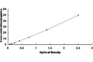 Typical standard curve (GRP94 ELISA Kit)