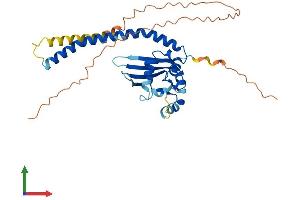 Protein Structure (PS) image for Testis Specific Protein, Y-Linked 4 (TSPY4) (AA 1-314) protein (His tag) (ABIN7544847)