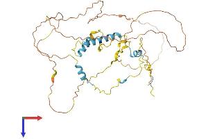 S100PBP Protein (AA 1-408) (His tag)