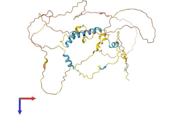 S100PBP Protein (AA 1-408) (His tag)