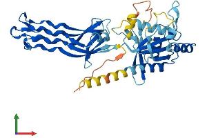 Protein Structure (PS) image for GTP-Binding Protein 10 (GTPBP10) (AA 1-366) protein (His tag) (ABIN7559416)