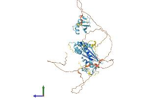 Protein Structure (PS) image for F-Box Protein 7 (FBXO7) (AA 1-523) protein (His tag) (ABIN7557153)