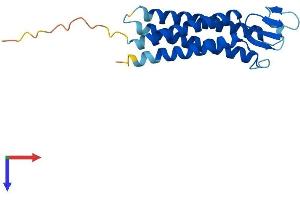 TMEM37 Protein (AA 1-190) (His tag)