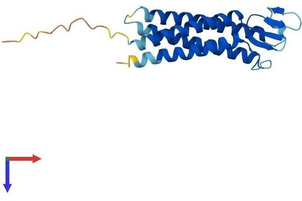TMEM37 Protein (AA 1-190) (His tag)
