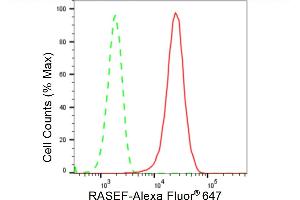 Flow cytometric analysis of RASEF expression in HepG2 cells using RASEF antibody (ABIN7800137), 1:2,000). (Rekombinanter RASEF Antikörper)