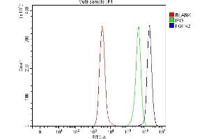 Flow Cytometry analysis of Daudi cells using anti-FGFR2 antibody (ABIN7600690). (FGFR2 Antikörper  (AA 22-368))