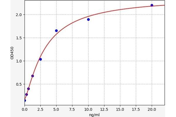 ATF6 ELISA Kit