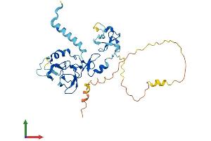 AlphaFold protein structure predicition of Human Recombinant ZNF330 Protein, UniprotID Q9Y3S2