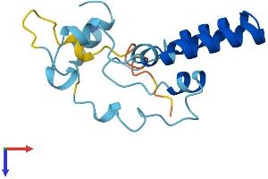 POMP Protein (AA 1-141) (His tag)