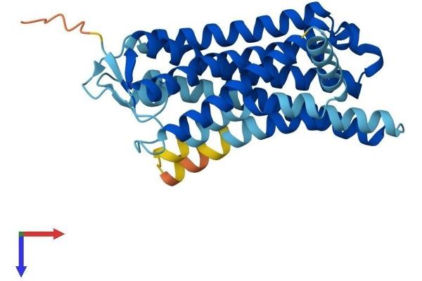 OR7D2 Protein (AA 1-312) (His tag)