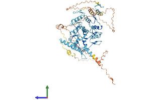 AlphaFold protein structure predicition of Human Recombinant ZNF614 Protein, UniprotID Q8N883