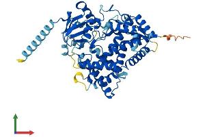 Protein Structure (PS) image for Cytochrome P450, Family 21, Subfamily A, Polypeptide 2 (CYP21A2) (AA 1-487) protein (His tag) (ABIN7562738)
