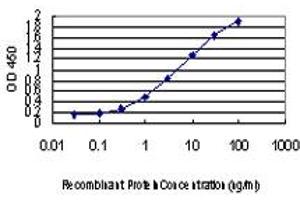 ELISA image for anti-Protein Phosphatase 3, Catalytic Subunit, beta Isozyme (PPP3CB) (AA 435-524) antibody (ABIN562356)
