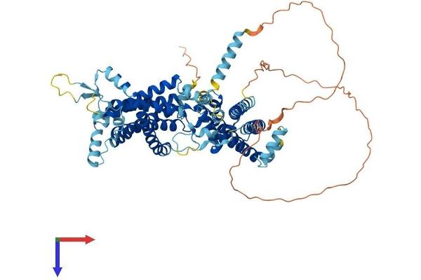TMEM48 Protein (AA 1-673) (His tag)