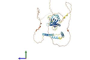 Protein Structure (PS) image for Pleckstrin Homology Domain Containing, Family O Member 2 (PLEKHO2) (AA 1-490) protein (His tag) (ABIN7550720)