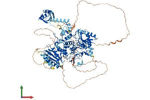 Protein Structure (PS) image for Terminal Uridylyl Transferase 1, U6 SnRNA-Specific (TUT1) (AA 1-874) protein (His tag) (ABIN7555607)