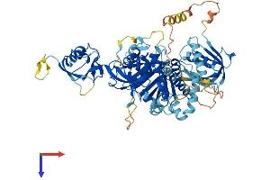 FERMT3 Protein (AA 1-667) (His tag)