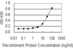 Detection limit for recombinant GST tagged P2RX2 is 1 ng/ml as a capture antibody. (P2RX2 Antikörper  (AA 128-205))