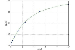 Coagulation Factor 13, B Polypeptide (F13B) ELISA Kit