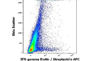Flow cytometry intracellular staining pattern of human peripheral whole blood (PHA stimulated and Brefeldin A + Monesin treated) stained using anti-human IFN-gamma (4S. (Interferon gamma Antikörper  (Biotin))