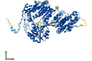 AlphaFold protein structure predicition of Human Recombinant ALDH16A1 Protein, UniprotID Q8IZ83