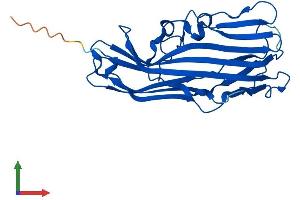 AlphaFold protein structure predicition of Human Recombinant FAM78B Protein, UniprotID Q5VT40