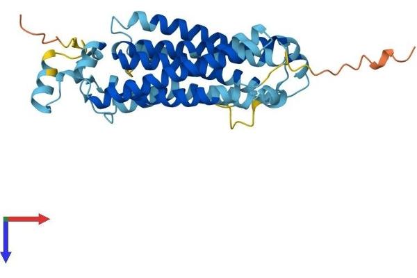 OST alpha Protein (AA 1-340) (His tag)