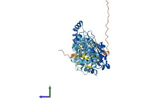 AlphaFold protein structure predicition of Mouse Recombinant Lpcat2b Protein, UniprotID Q9D5U0 (LPCAT2B Protein (AA 1-516) (His tag))