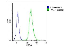 Flow Cytometry (FACS) image for anti-Glucagon (GCG) (AA 119-148), (C-Term) antibody (ABIN390769)
