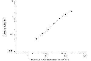 Peptidylprolyl Isomerase A (Cyclophilin A) (PPIA) ELISA Kit