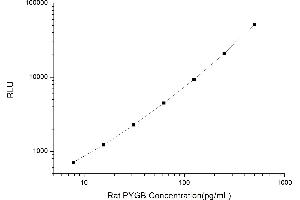 Typical standard curve (PYGB CLIA Kit)