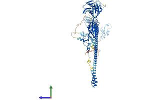 AlphaFold protein structure predicition of Human Recombinant MID2 Protein, UniprotID Q9UJV3