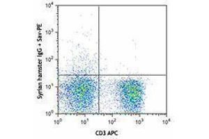 Flow Cytometry (FACS) image for anti-CD28 (CD28) antibody (Biotin) (ABIN2661030) (CD28 Antikörper  (Biotin))