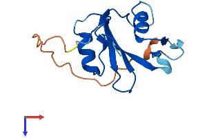 SH2D1B Protein (AA 1-132) (His tag)