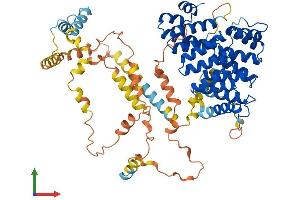 Protein Structure (PS) image for Peroxisomal Biogenesis Factor 5 (PEX5) (AA 1-639) protein (His tag) (ABIN7550746)
