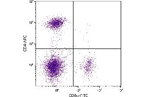 BALB/c mouse splenocytes were stained with Rat Anti-Mouse CD4-APC and Rat Anti-Mouse CD8α-FITC. (CD4 Antikörper  (APC))