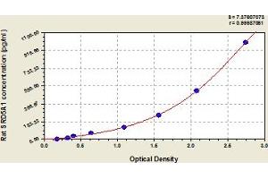 Typical Standard Curve (SRD5A1 ELISA Kit)