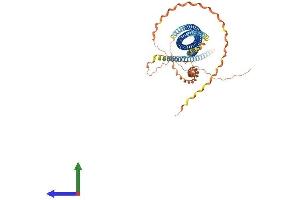 Protein Structure (PS) image for Scavenger Receptor Class A, Member 3 (SCARA3) (AA 1-606) protein (His tag) (ABIN7551697)