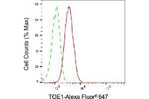 Flow cytometric analysis of TOE1 expression in C2C12 cells using TOE1 antibody (ABIN7800513), 1:2,000).