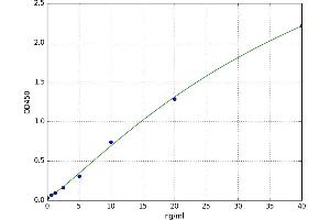 Solute Carrier Family 18 (Vesicular Acetylcholine), Member 3 (SLC18A3) ELISA Kit