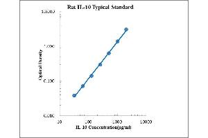ELISA image for Interleukin 10 (IL10) ELISA Kit (ABIN2472107)