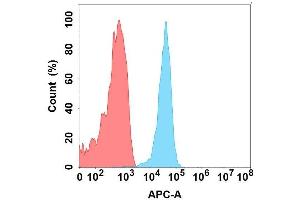 Flow Cytometry (FACS) image for anti-C-Type Lectin Domain Family 1, Member A (CLEC1A) antibody (ABIN7490786)
